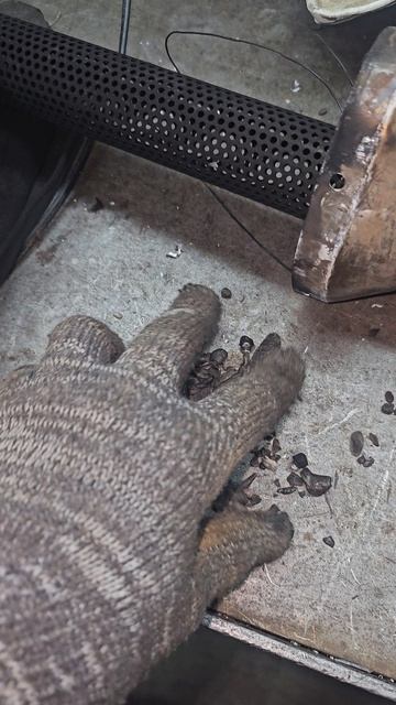 Выхлоп Avantis ~ 4500 км.