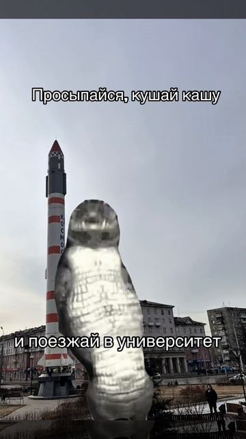 Просыпайся, кушай кашу и поезжай в университет