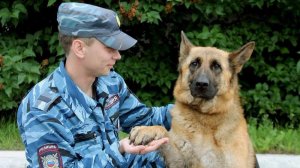 Профессия «Кинолог» для детей 6 -7 лет