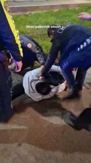 Маст ҳолда машина бошқариб ЙТҲ содир этган, ходимларга қўл кўтарган ҳайдовчига жиноят иши қўзғатилди