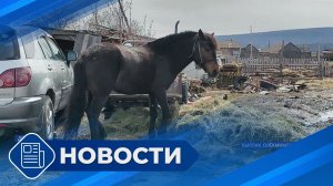 Новости 19.00 от 02.04.26