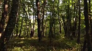 Имиджевый ролик по Дагестану