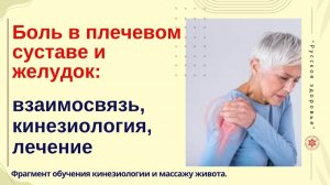 Боль в плечевом суставе и желудок: взаимосвязь, кинезиология, лечение. Фрагмент обучения