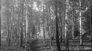 ПИСЬМО
авторская песня
АНДРЕЙ ДОЛИНСКИЙ