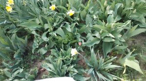 Краснодар в апреле