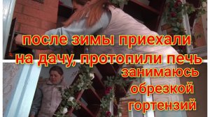 После зимы приехали на дачу/Протопили печь/Занимаюсь обрезкой гортензий/Всё ли в порядке???