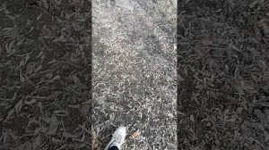 Секретная база