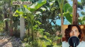 Черный мак.