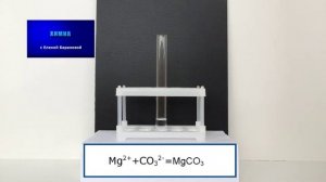 Химия 9 класс. Практическая работа №7. Опыт 1 "Взаимодействие сульфата магния с карбонатом натрия"
