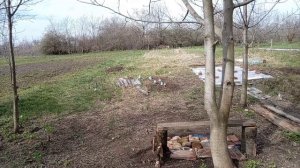 Иду из магазина и вам рассказываю! 🩷🩵🩷Я её слепила из того что было! 🪚🔨🪑Юг России 🌴