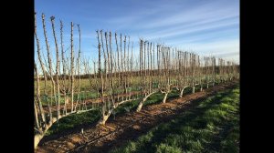 Новый проект с мастером по современной системе УФО