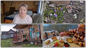 ОТВЕЧУ НА ВОПРОСЫ И ПРОГУЛЯЕМСЯ ПОСЛЕ ДОЖДИКА.