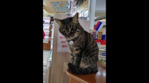 2022 Владик из фото