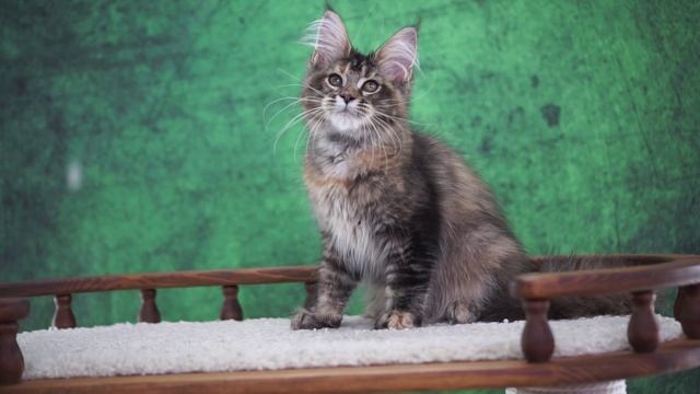 Yevgenia 4 месяца