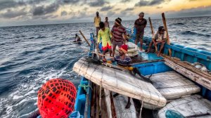 Охота на гигантских кальмаров /  Экстремальное приключение в океане 🌊 / Охота на кальмаров