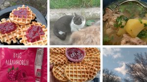 ЭКОНОМНОЕ МЕНЮ/ СОУС ИЗ КУРИЦЫ/ ВЕНСКИЕ ВАФЛИ ИЗ ТОГО ЧТО БЫЛО / МАЛИНОВЫЙ КЕКС / КОШАЧЬЯ БАНДА