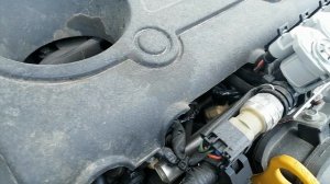 VID_20260402_121256.mp4