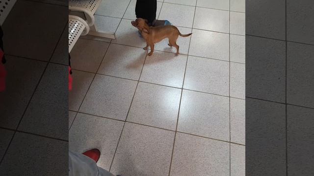 БУСИНКА😅😅😅😅