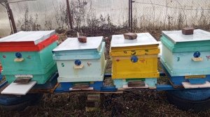 2 Апреля 26 года, Всех-всех своих друзей, и зрителей моего канала, приглашаю к себе на пчельник.В ВК