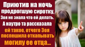 Истории из жизни. Слушать истории. Приютив на ночь продрогшую сиротку, Зоя не знала что ей делать.