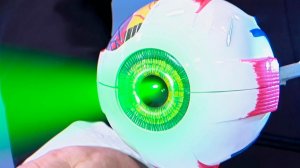 В "Жить здорово!" назвали три причины для ежедневной прогулки по зеленому лесу