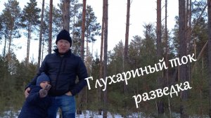 Глухариный ток, разведка