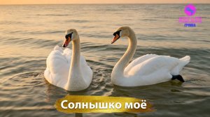 Группа Авелео - Солнышко моё☀️