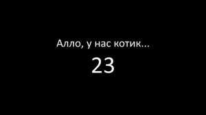 Алло, у нас котик - 23