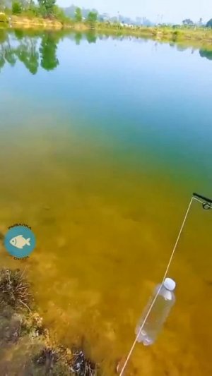 Видео от За Трофеем: Охота и Рыбалка