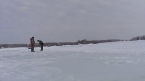 Февральсквя щкеа