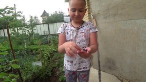 Влог от 24.06.2022