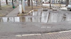 МНЕ ОТКАЗАЛИСЬ ДЕЛАТЬ ПРИВИВКИ А Я РАД ВЕСЕННЕМУ ДОЖДЮ