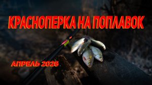 Рыбалка на поплавок в апреле 2026