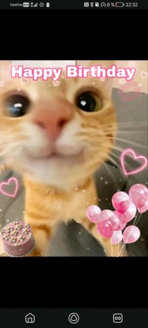 красная дверь желтая дверь дверь любого цвета