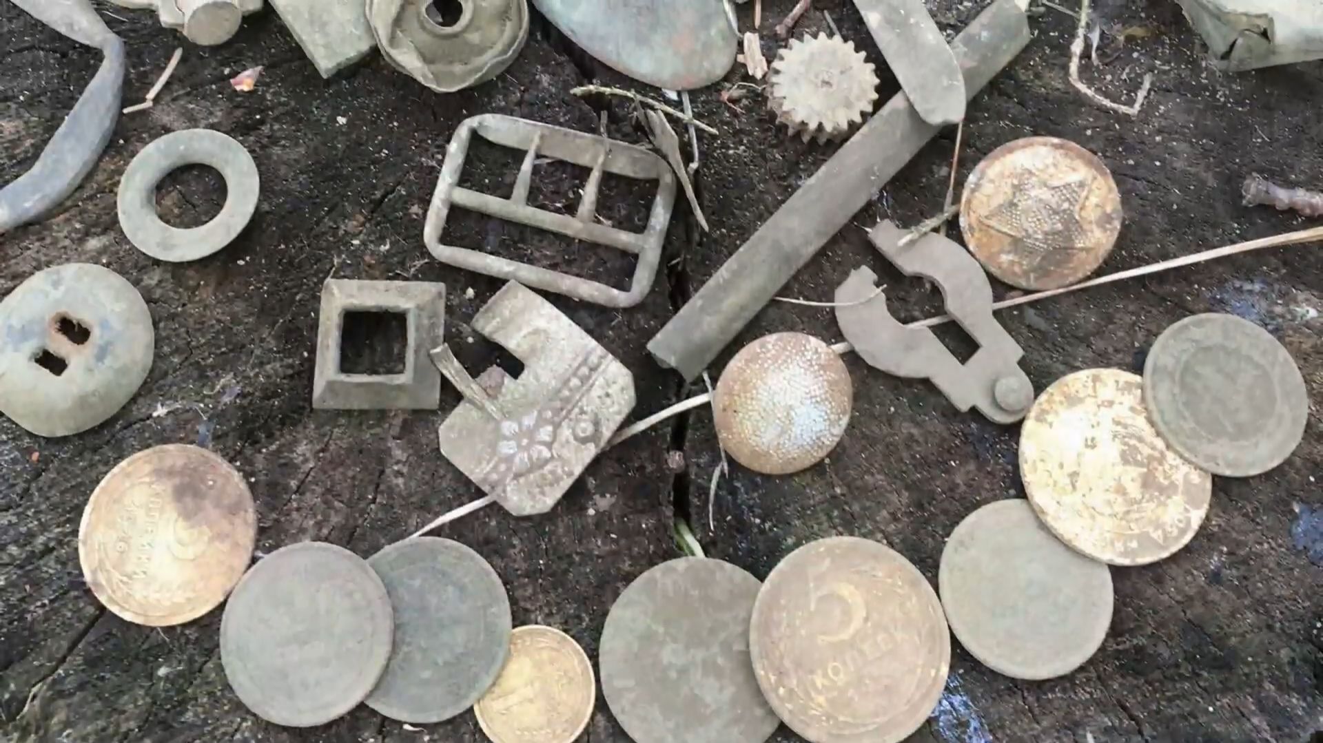 Разведка по хуторам. Новые места.