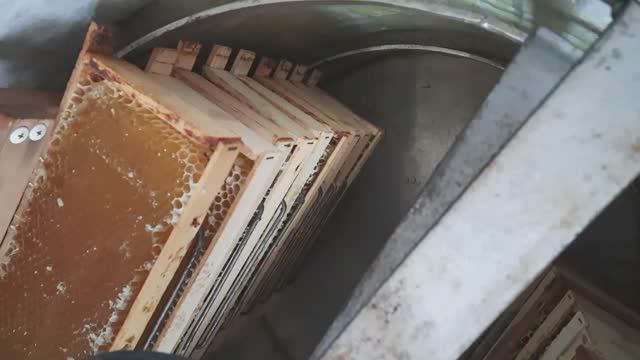 Ревизия пчёл,электропастух и медогонка.