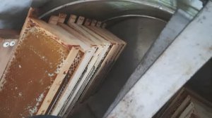 Ревизия пчёл,электропастух и медогонка.