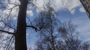 1 апреля в апреле ждите дожди 🌦️