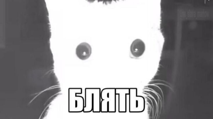 0403 смотреть онлайн