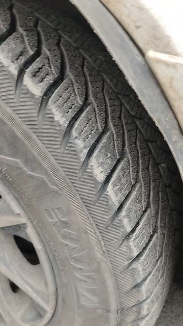 Бюджетная летняя резина BARS 220