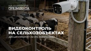 Контроль через объектив: зачем Беларусь ставит камеры в сельском хозяйстве? На контроле Президента