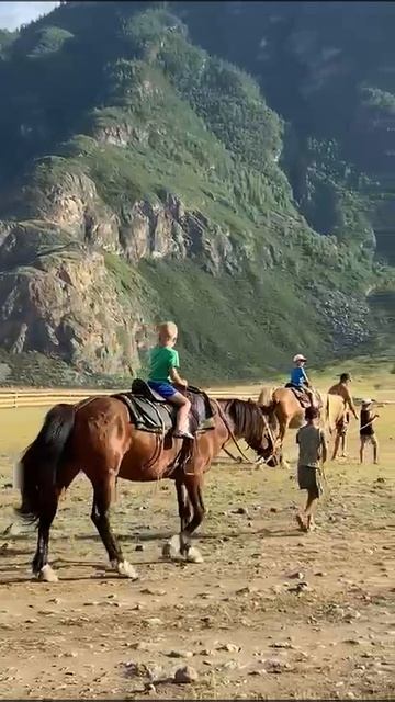 Маленькие туристы катаются на лошадях!