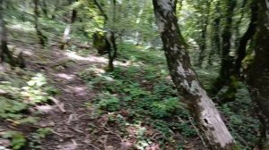 Иду по горе Медведь к старинной башне в Архипо-Осиповке