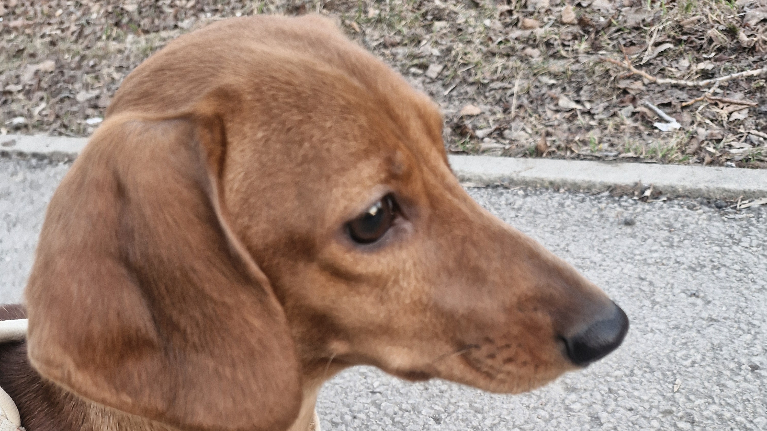 Вечерняя прогулка