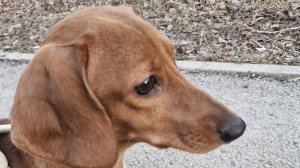 Вечерняя прогулка