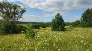 деревни Макуши, Снигири, Лежни Кировская область А.Югова (Снигирева)