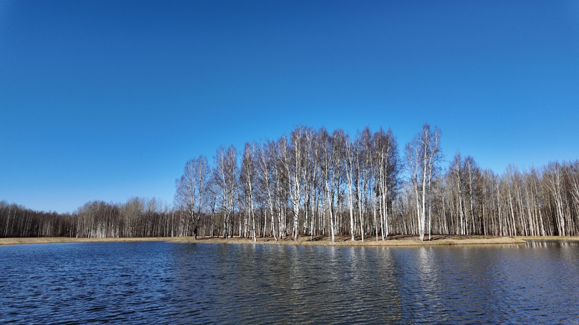 СТАРЫЕ ПАРКИ ПЕТЕРГОФА