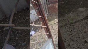 VID_20260402_143211.mp4