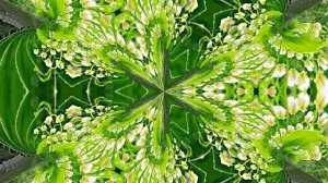 Футажи! Комплект Футажей Весенняя Ландышевая Сказка 4 от Киностудии Мудрого Кота Тимофея!