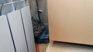 2.04. Надо, надо умываться..Жара в марте.Муж накидывает снег в теплицу.Политзаключенная.